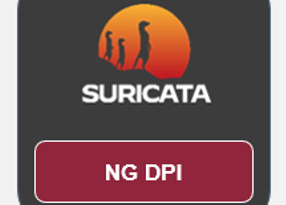 Boosting Suricata with Next Gen Deep Packet Inspection